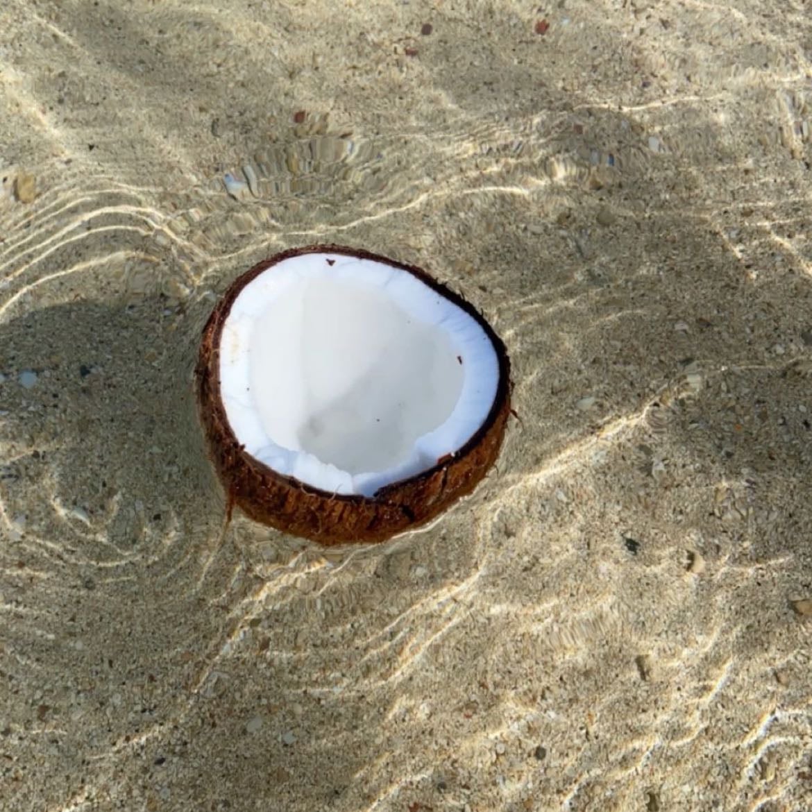 Coconut water
