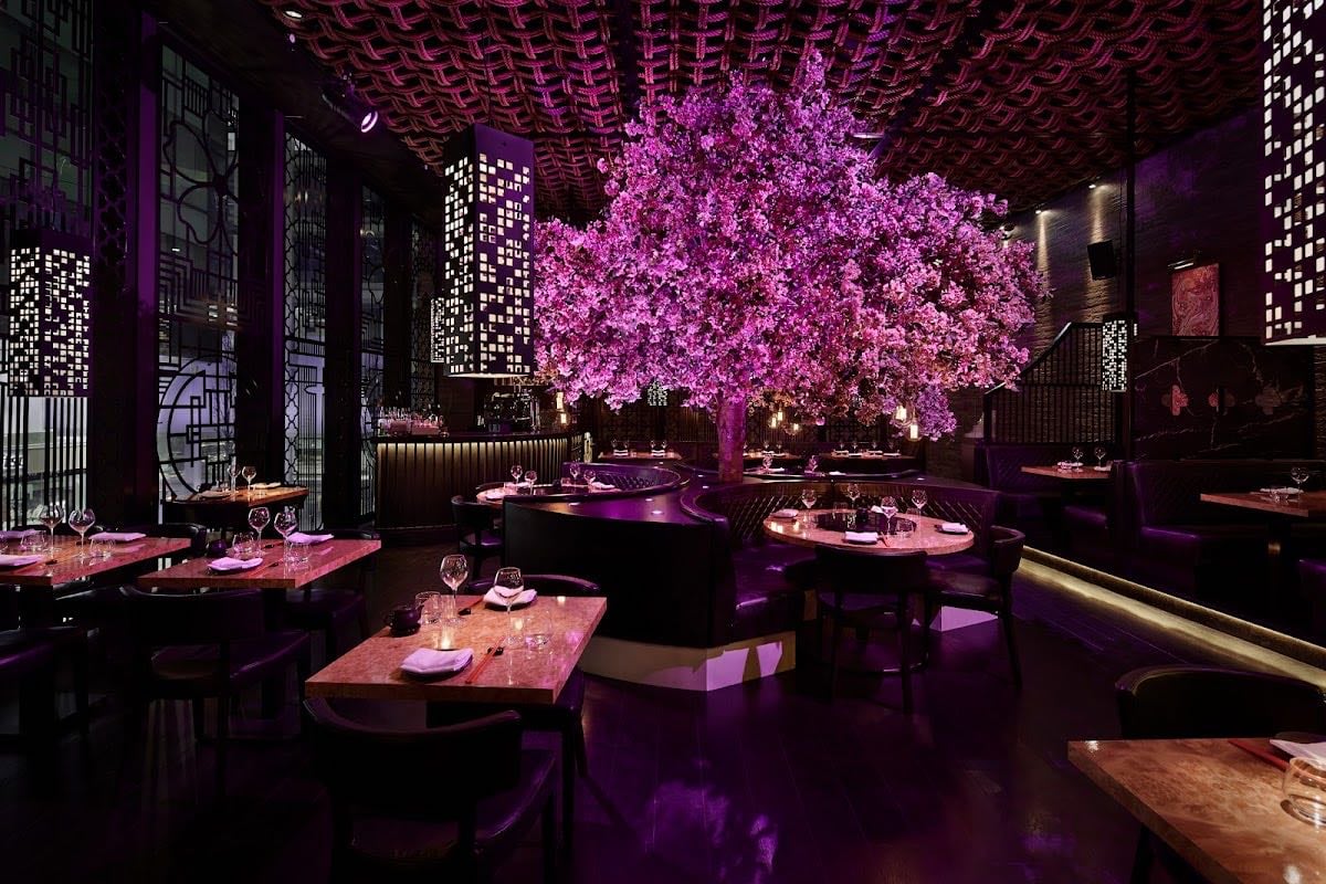 Tattu | Restaurant and Bar