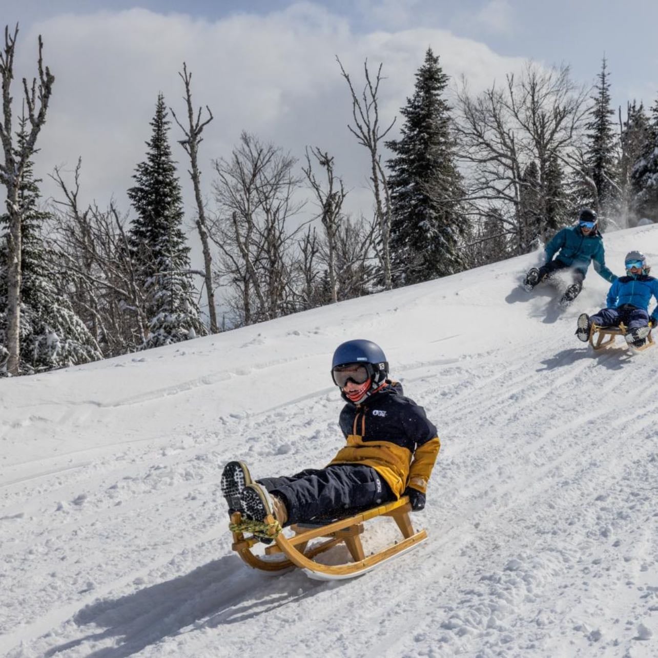 luge