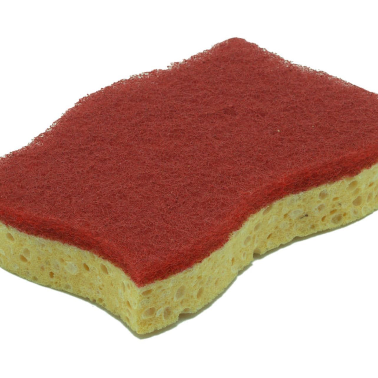 éponge