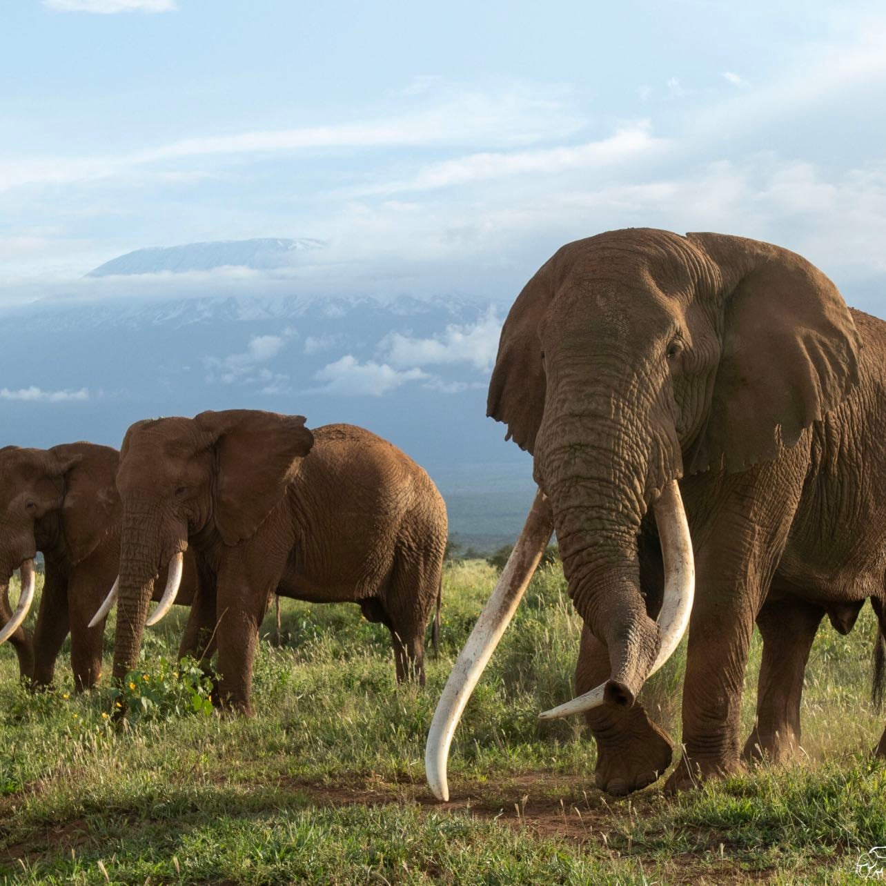 Tanzania
