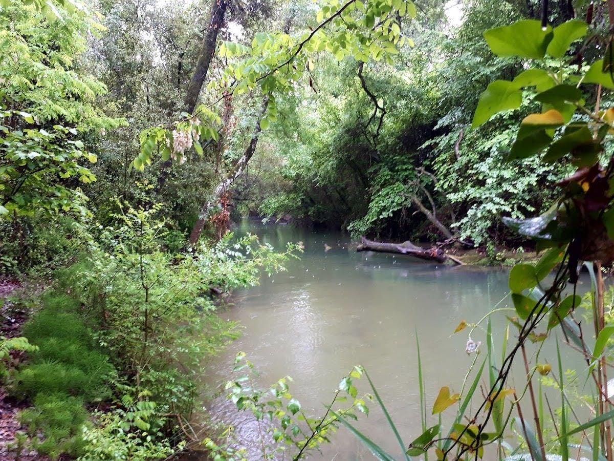 La Bresque