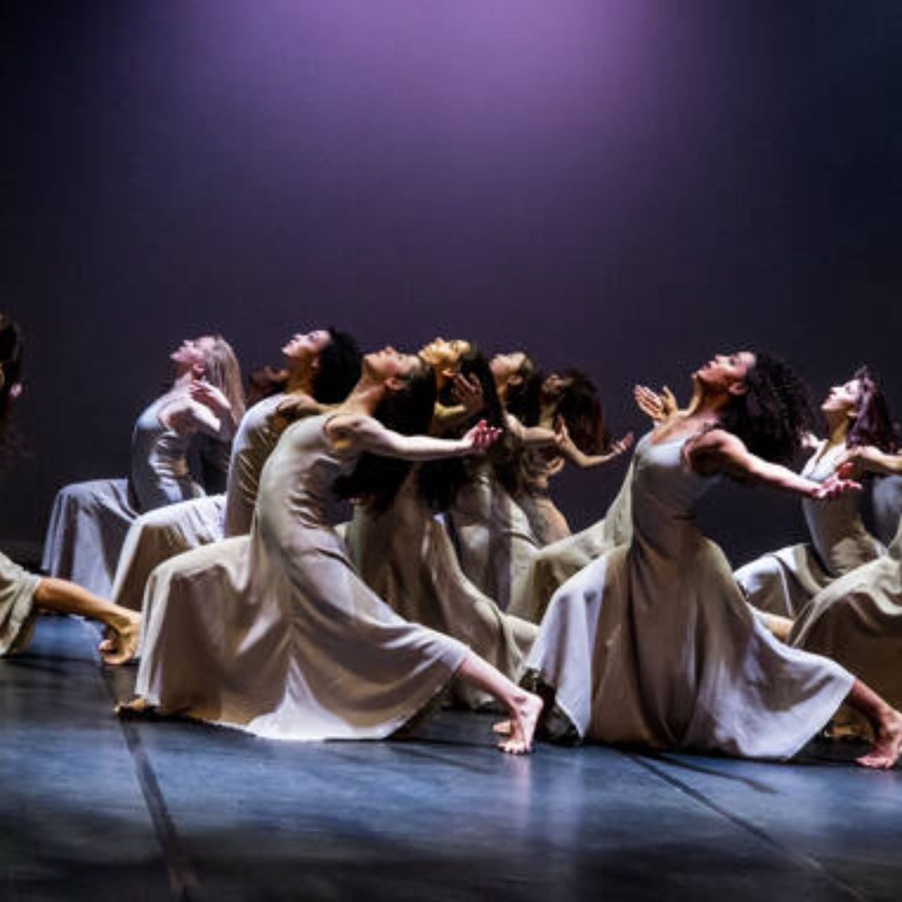 spectacle danse contemporaine