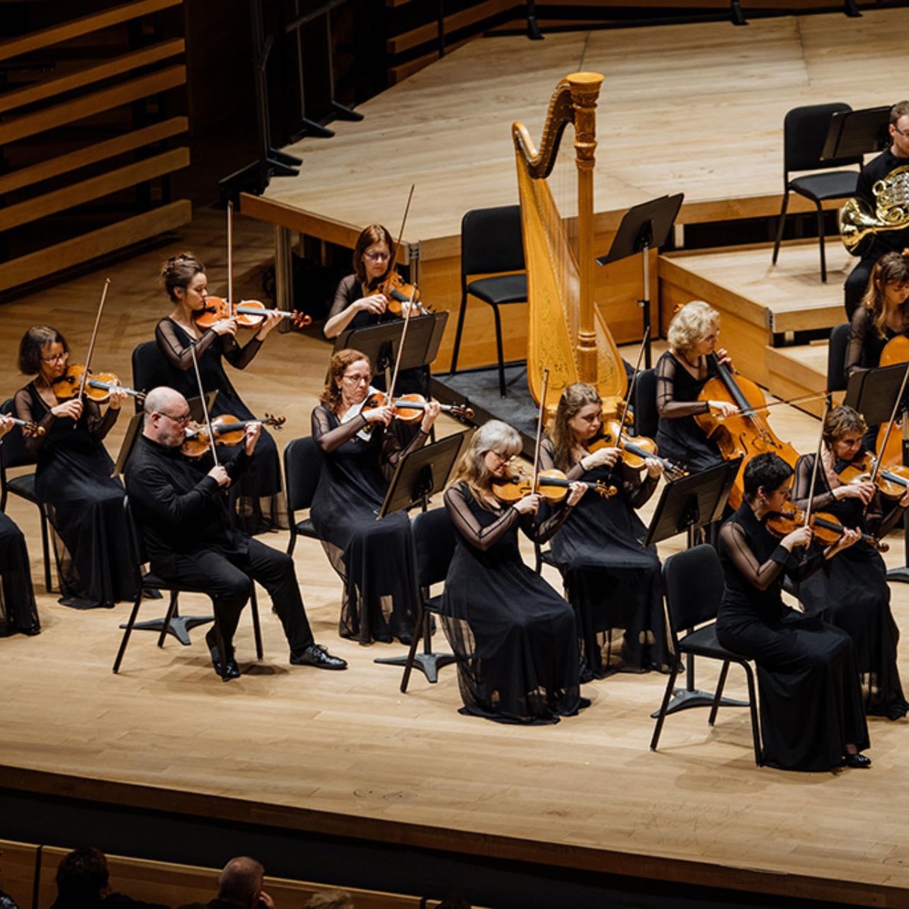 orchestre