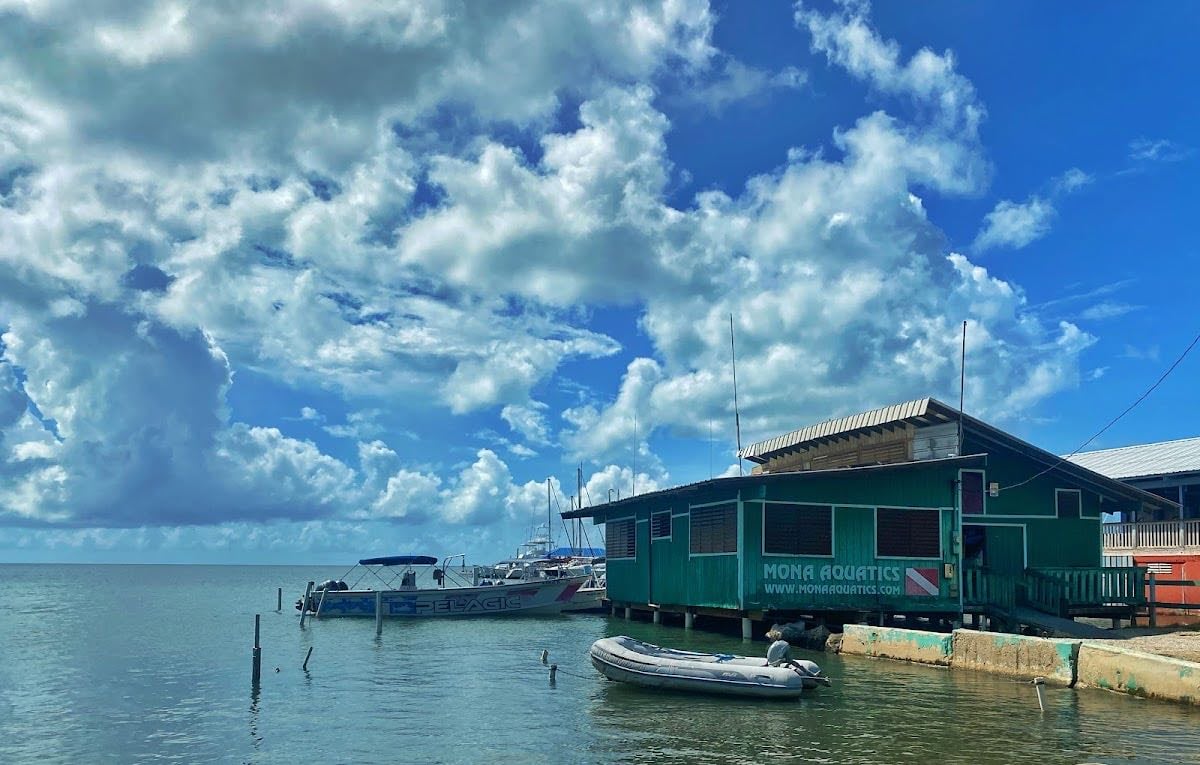 Boquerón - En verano es buena por qué en navidad no (repito hay aguas vivas 🪼)