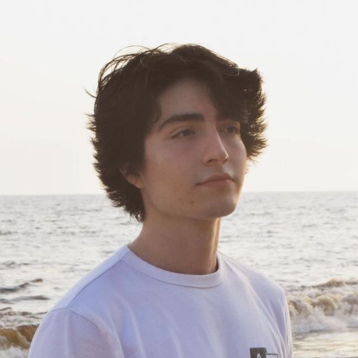 Ricardo Alcaraz ೃ❀ - Contenido: Crítica, streamer, reacción a videos ✨