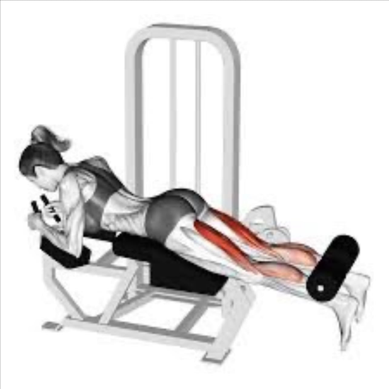 Femoral acostado