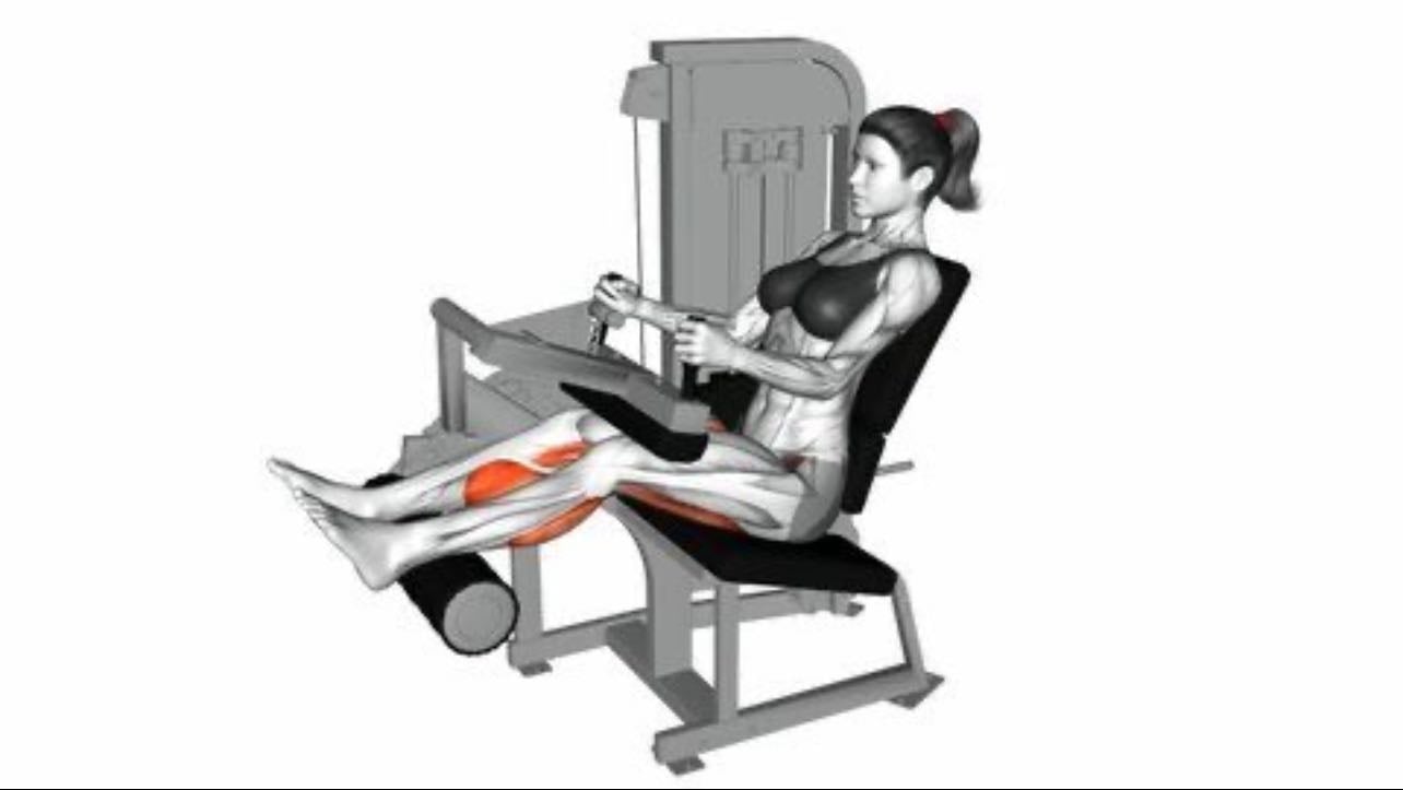 Seated Leg Curl - femoral sentado