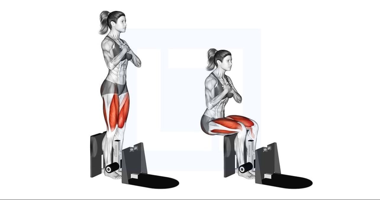 sissy squat