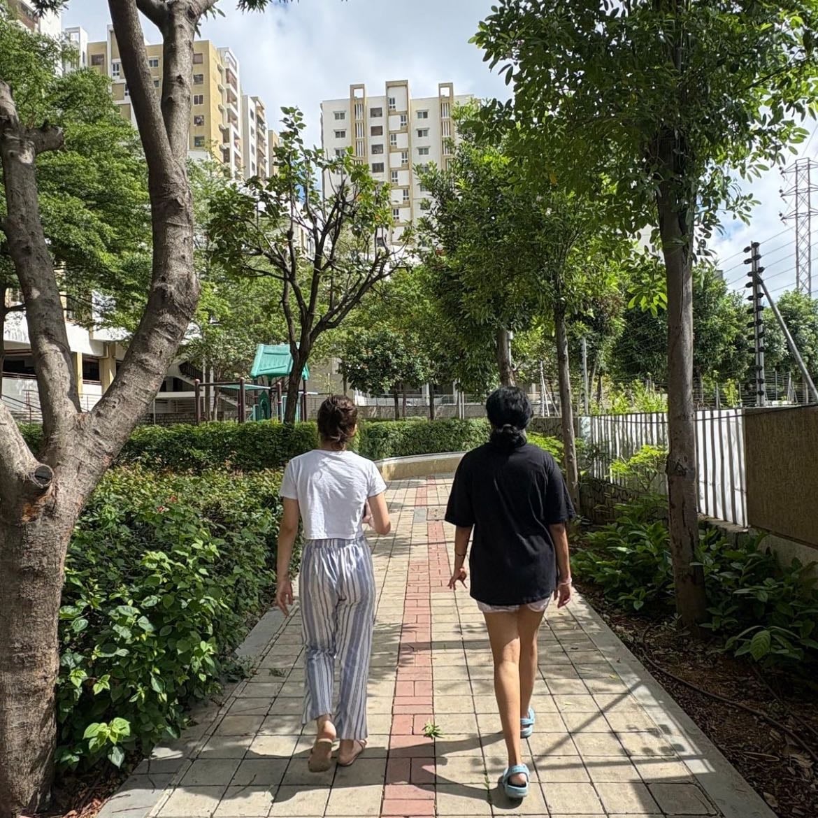dar un paseo