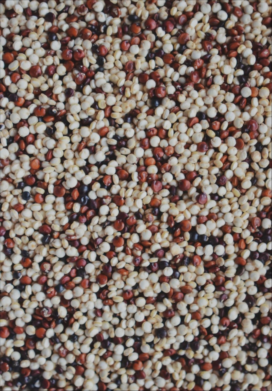 quinoa