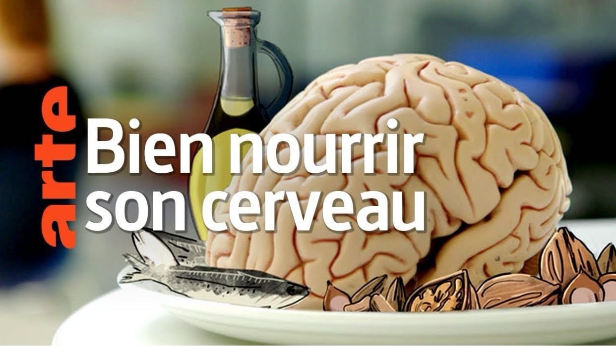 Bien nourrir son cerveau - Arte