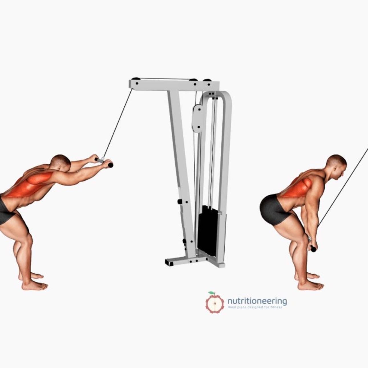 Pull over - 3 x 10 Reps