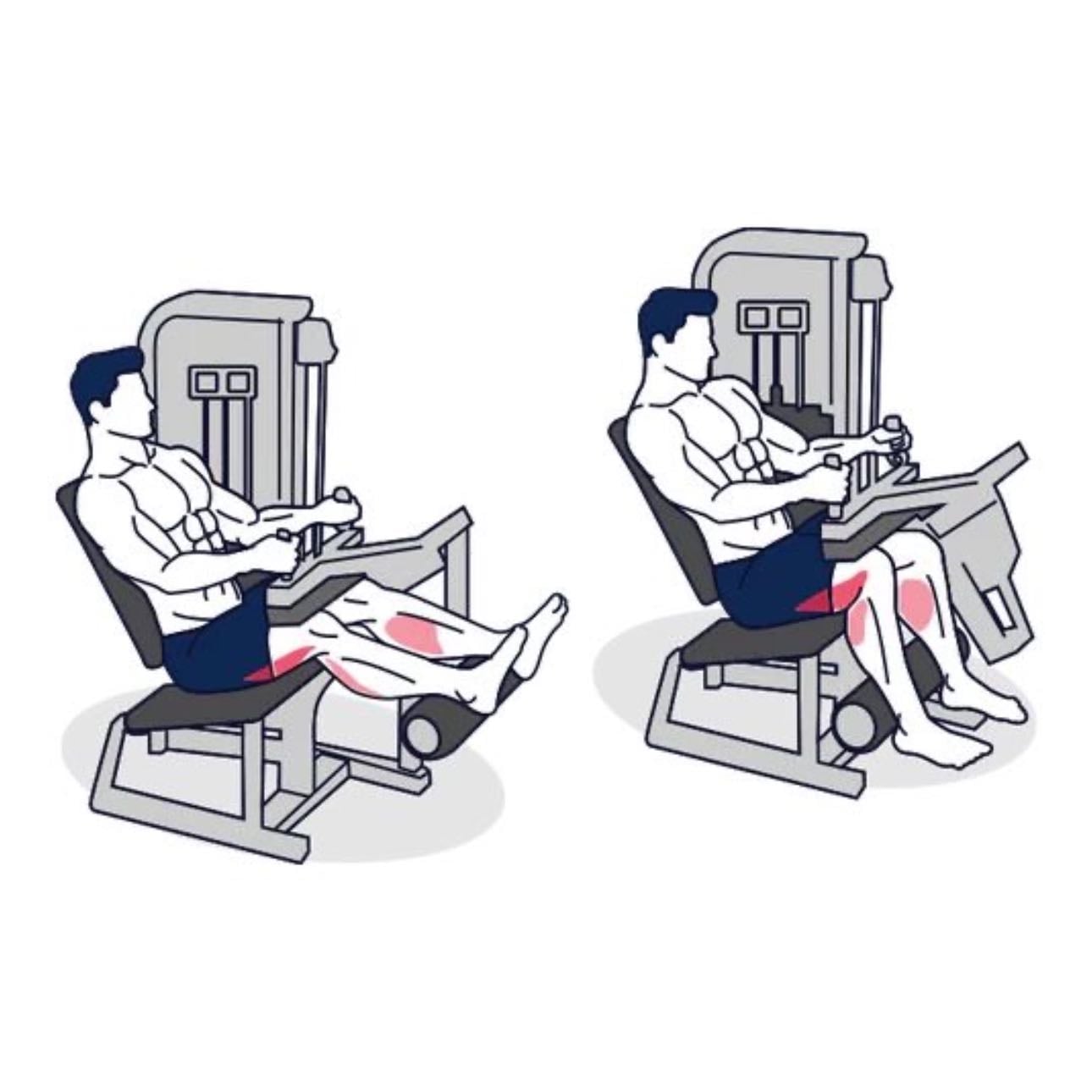 Leg curl - 3 x 8 Reps
