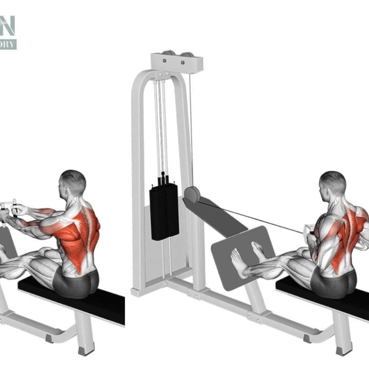 Close grip cable row - 3 x 10 Reps