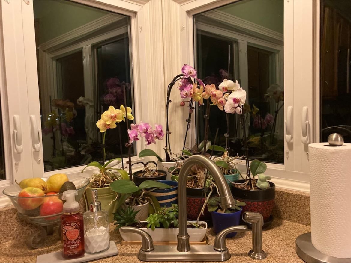 spa en casa