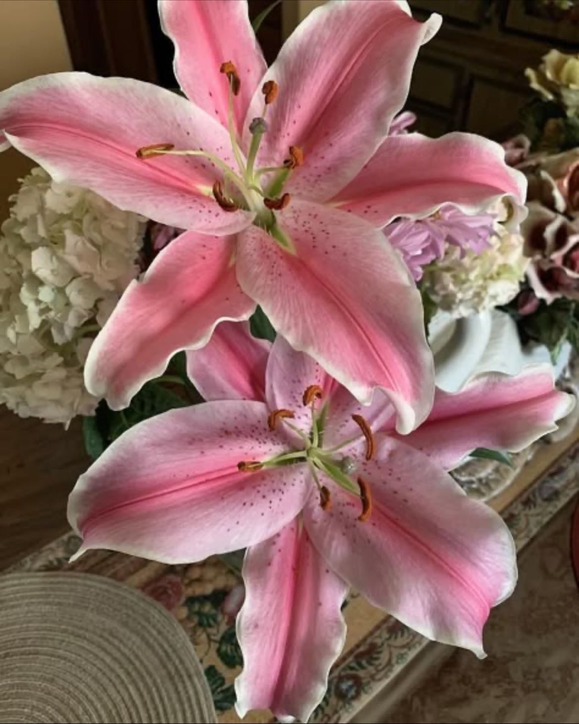 lillies