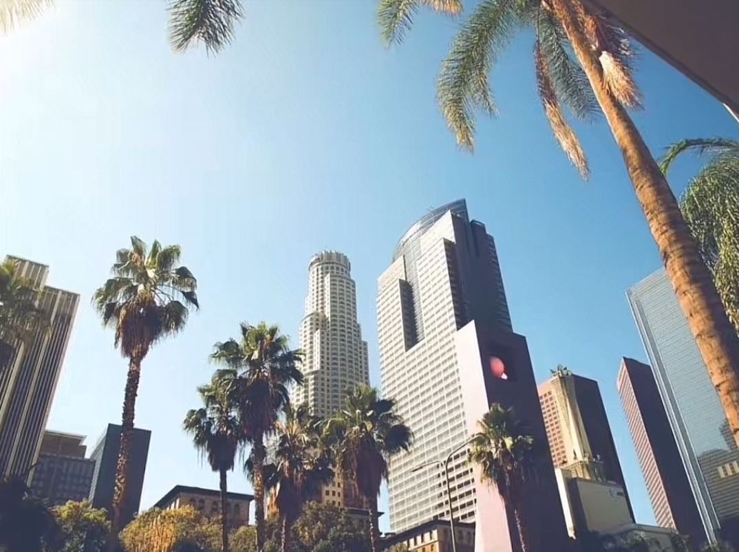 locate your nearest palm tree