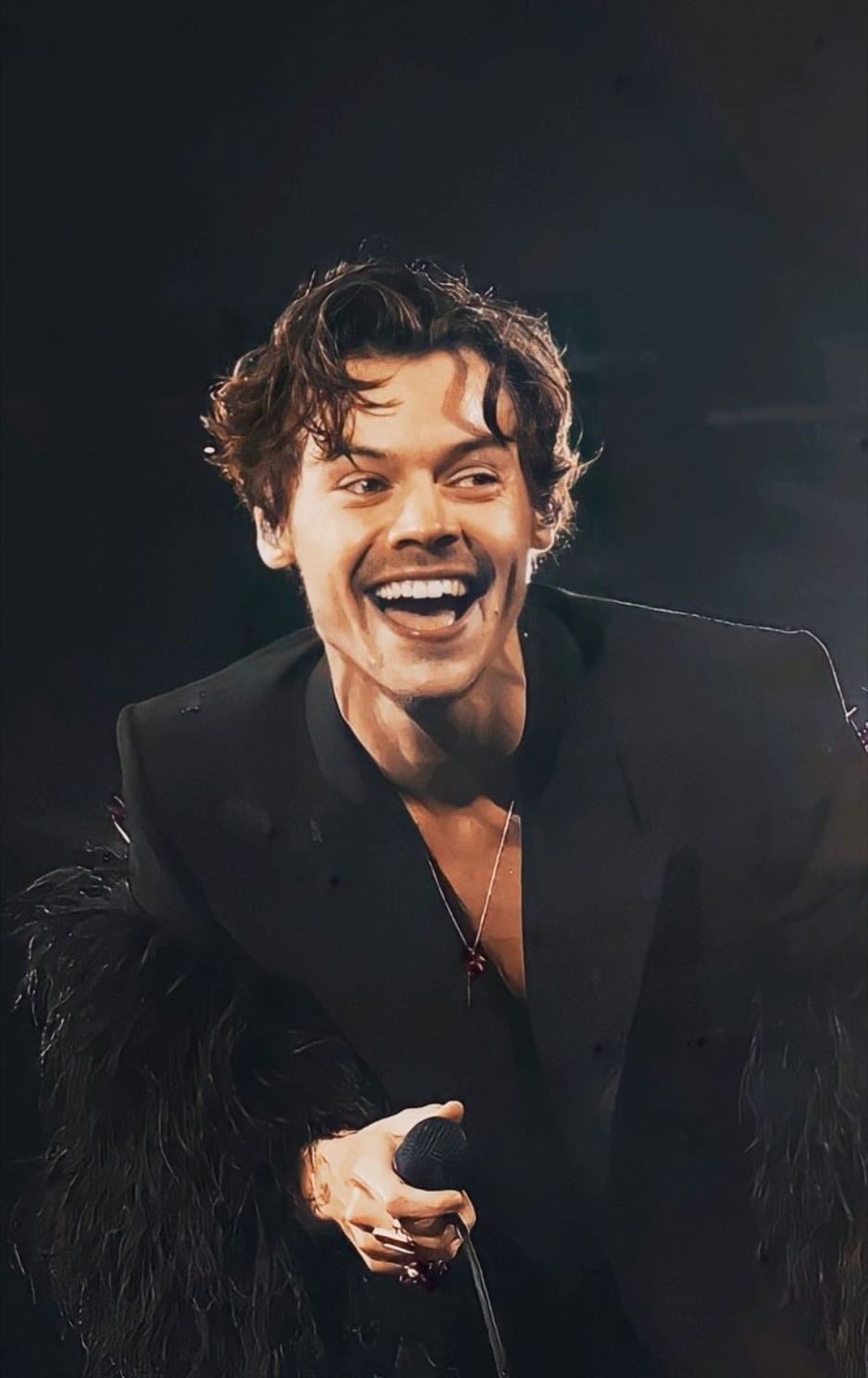 harry styles