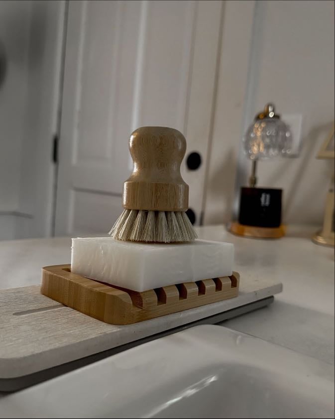 dish block and brush