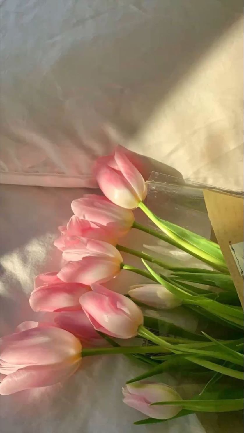 tulips