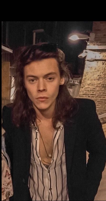 long hair harry - loml llh 🪩