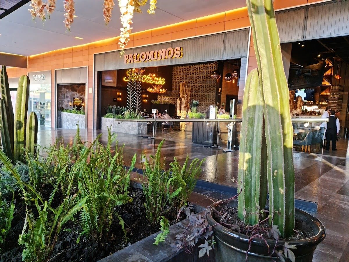 PALOMINOS