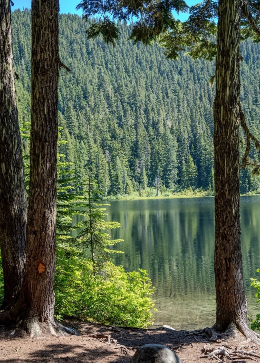Olallie Lake Trail