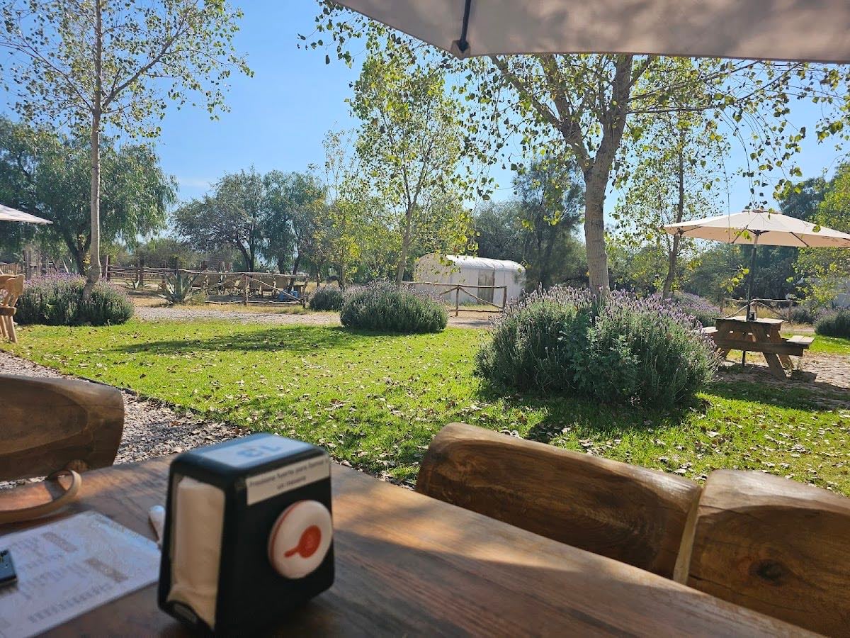 Semilla - Cafeteria de Campo