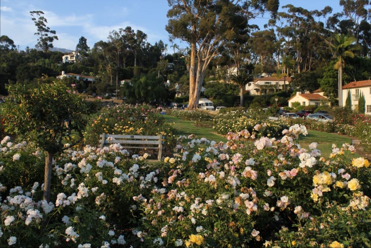Mission Rose Garden
