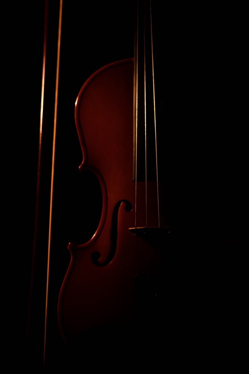 Violin performance diploma