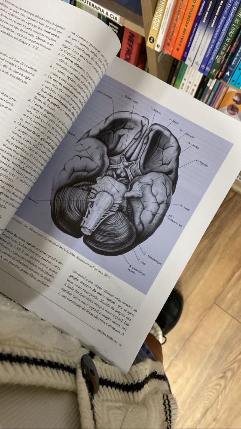 neurociencia
