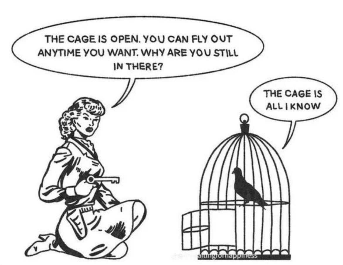 passarinho preso na gaiola - "the cage is all i know"
local: costela direita
