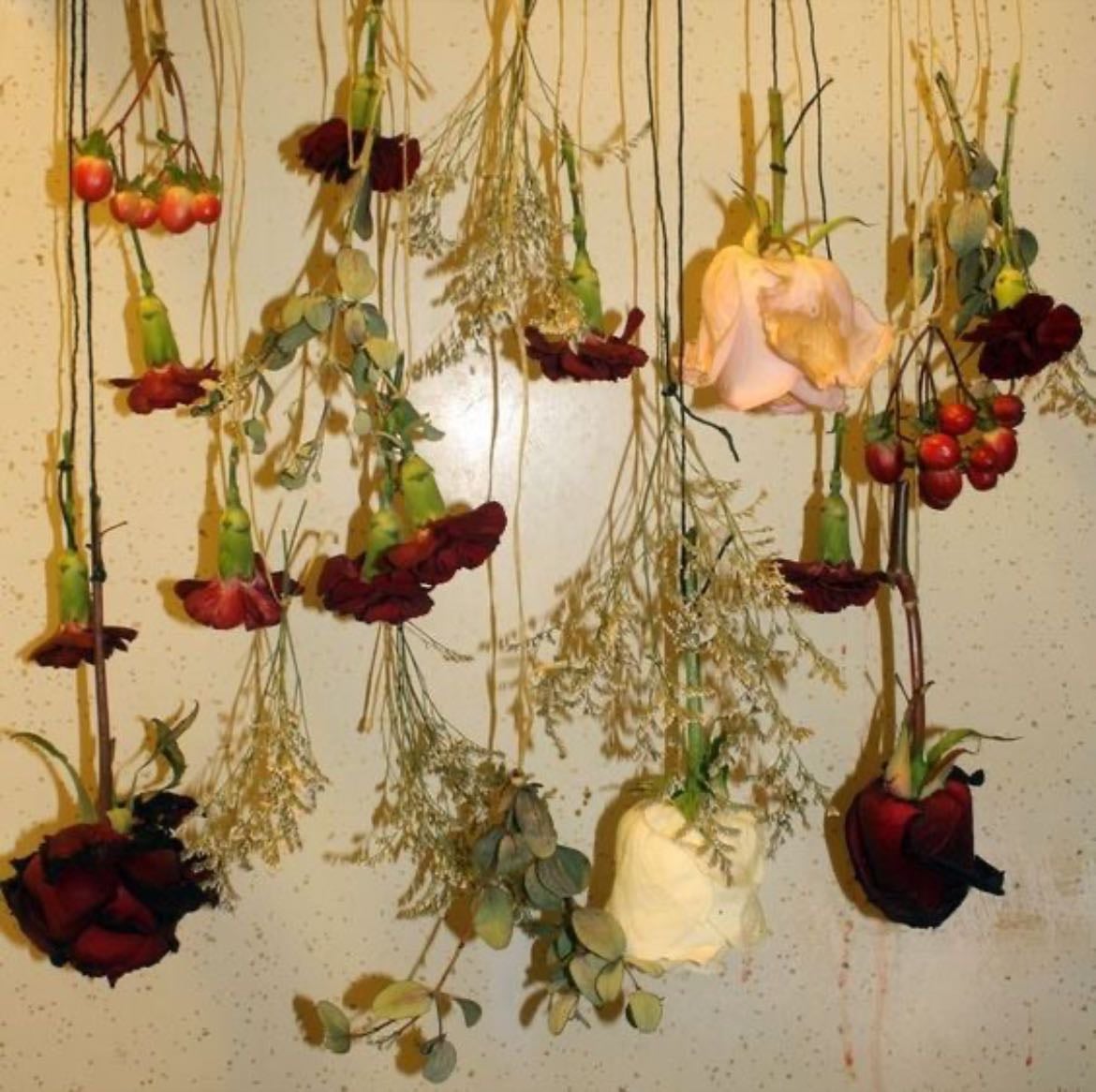 dried flowers. - already collecting those, but i want more.