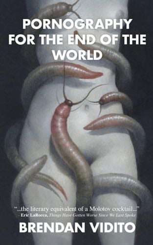 Pornography for the End of the World - Brendan Vidito · 2022