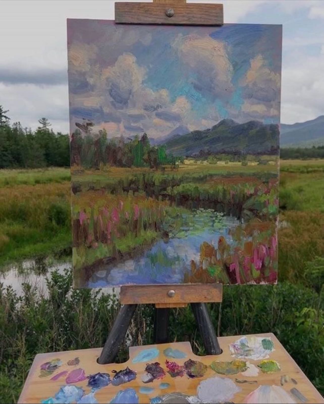 pintar - 🎨🖌️