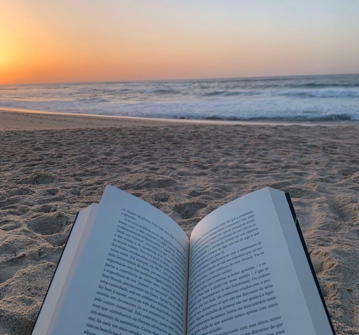 libros ✨