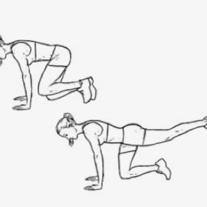 Donkey kicks