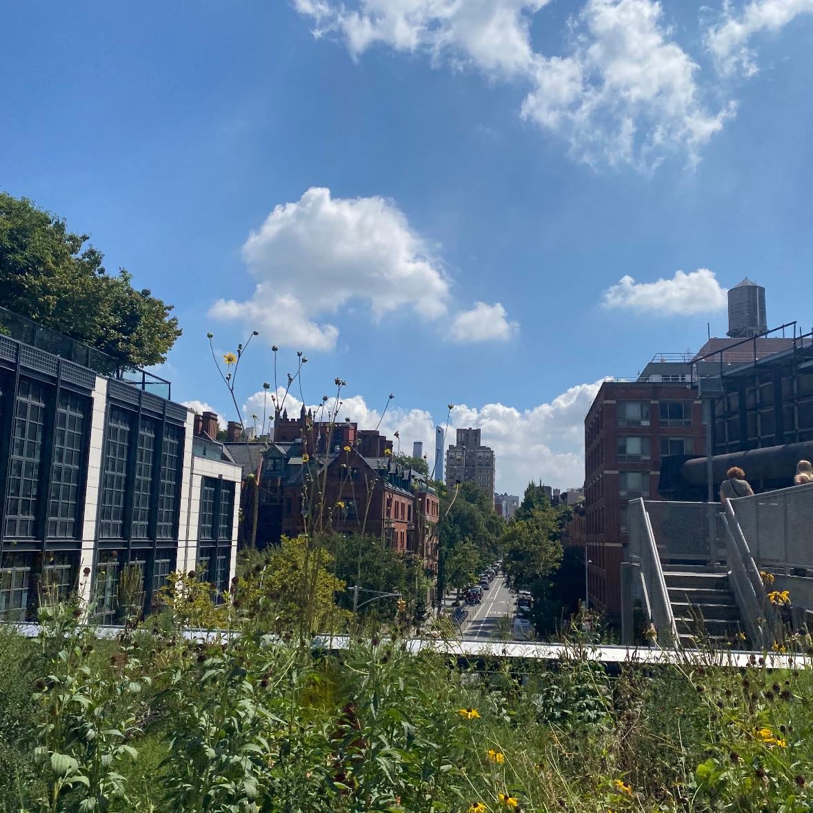 High Line Park - Este parque y su barrio 🫶🏼