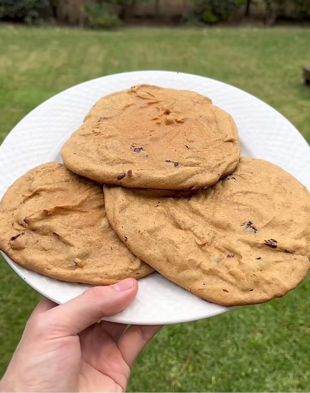 Cookie de soja - 275kcal, 34gp, 17gc, 7.5gg, 8gf