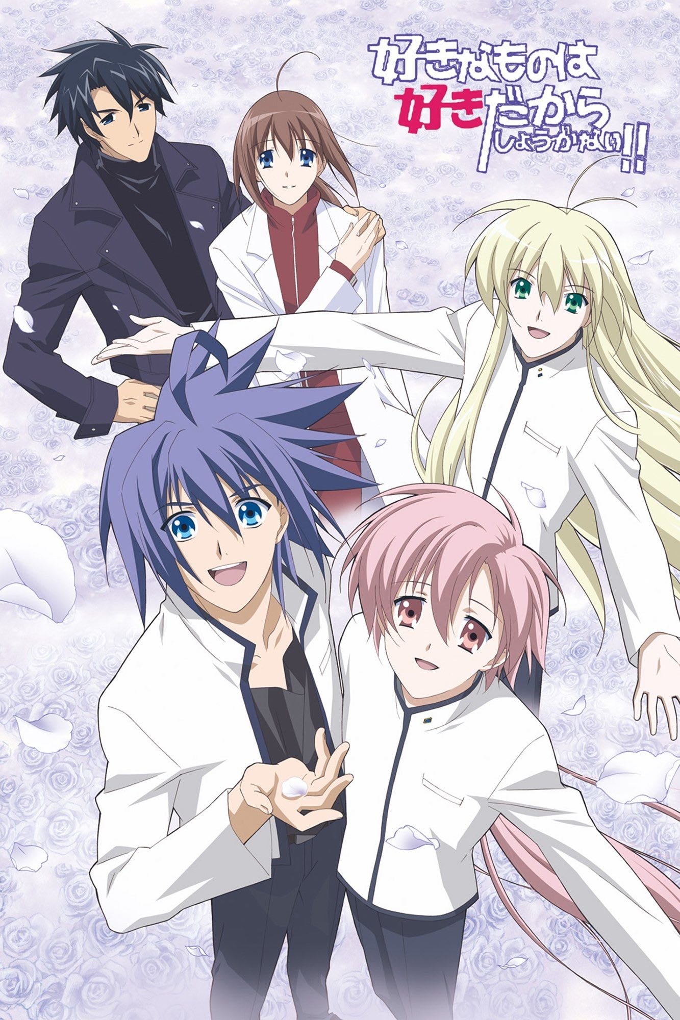 Sukisho! - 2005
