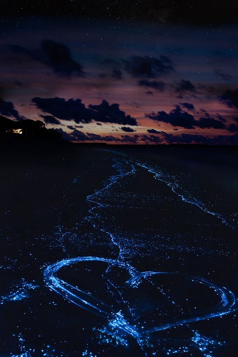 Vaadhoo