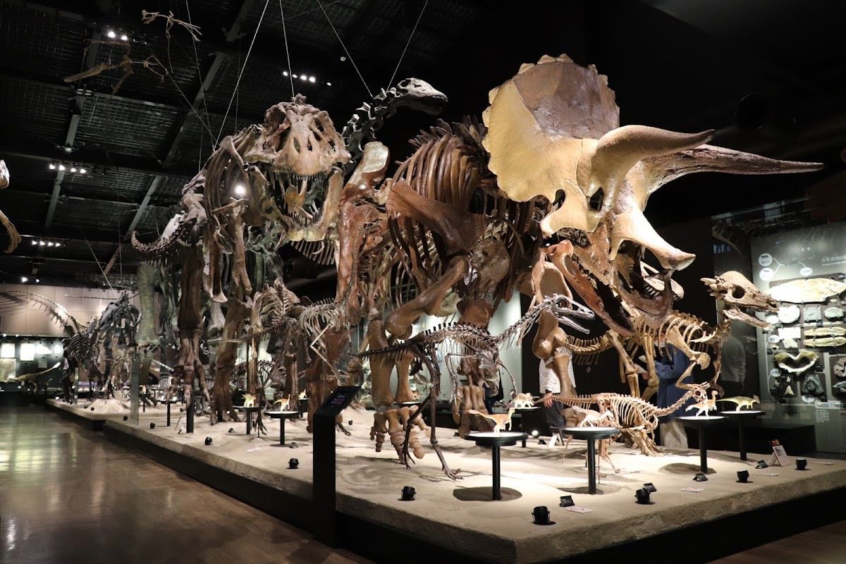 Mifune Dinosaur Museum - Statue brook