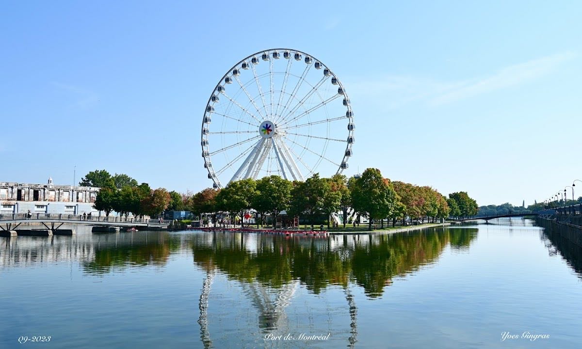 Vieux-Montréal / vieux port - Grande roue / pédalo / tyrolienne