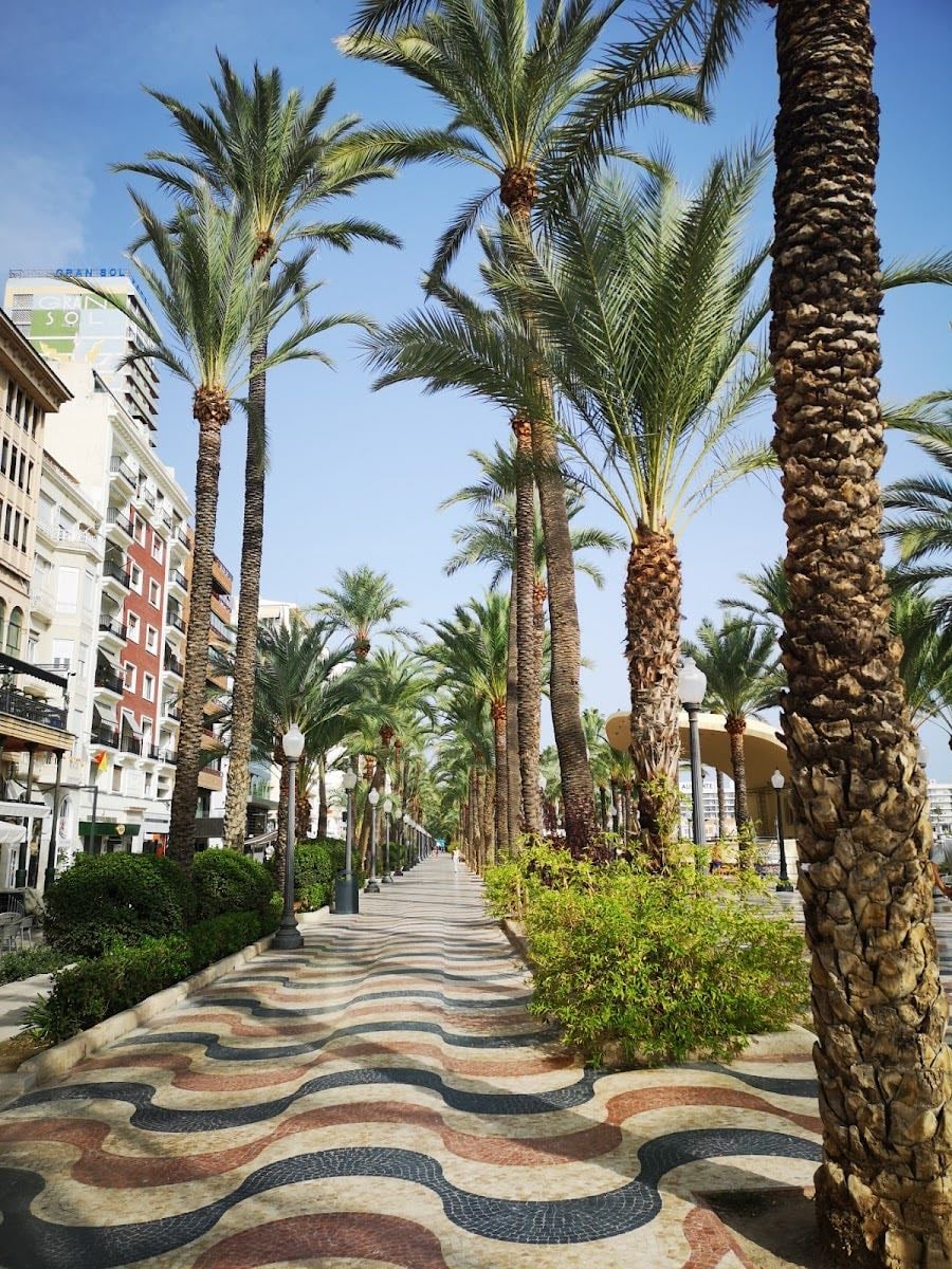 Paseo de la Explanada de España