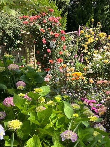 go to a garden or something