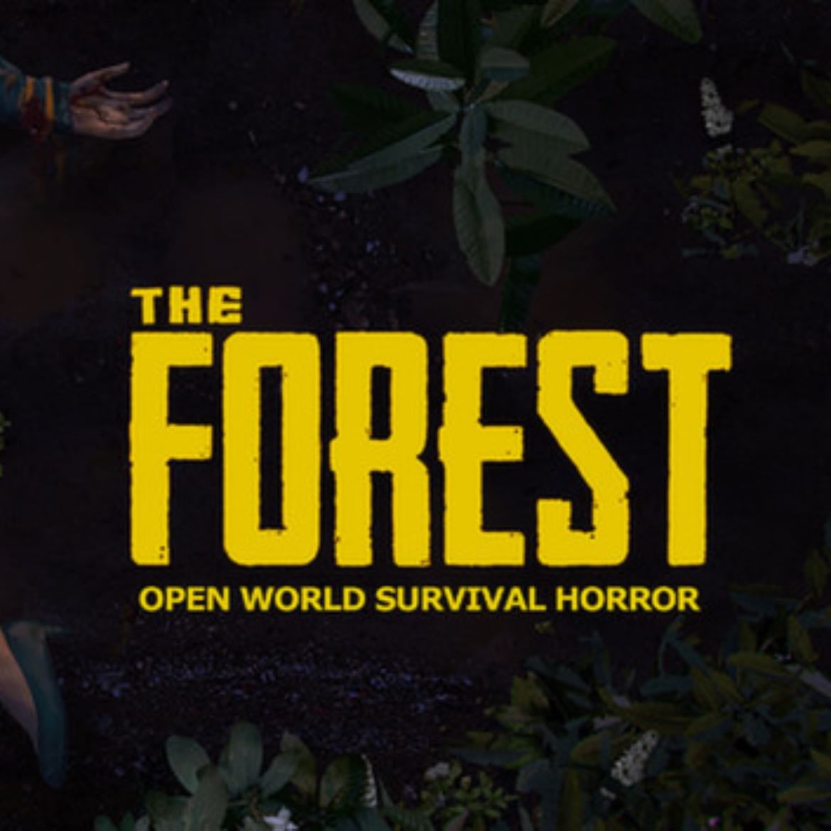 The Forest