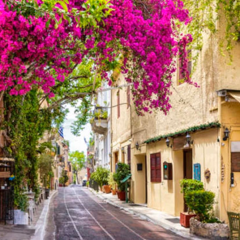 Plaka