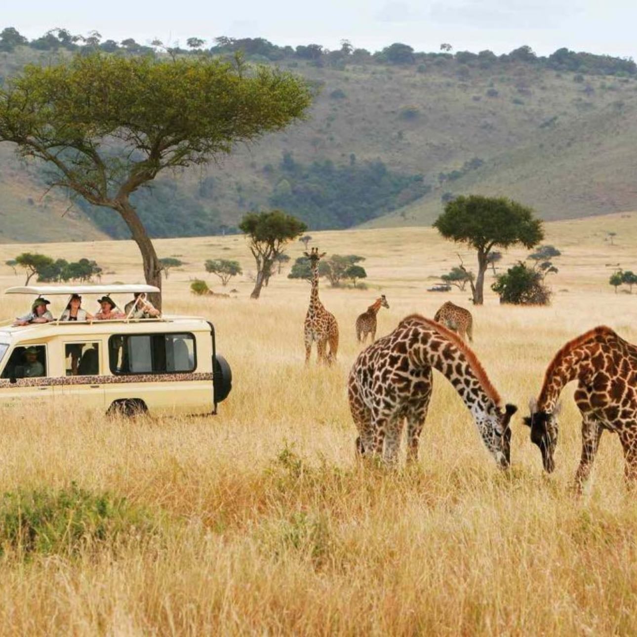 Mhondoro Safari Lodge