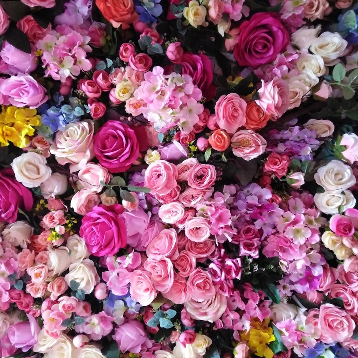 Roses